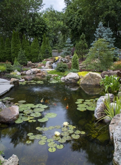 Biyolojik gölet, doğal yüzme göleti, kimyasalsız havuz, ekolojik havuz, biyopool, doğal havuz, gölet yapımı, gölet tasarımı, süs göleti, bahçe göleti, koi göleti, filtreli gölet, biyolojik filtrasyon, su bitkileri, çevre dostu havuz, sürdürülebilir havuz, doğal su arıtma, peyzaj göleti, gölet uzmanı, gölet sistemleri, gölet bakımı, balıklı gölet, doğal havuz çözümleri, klorinsiz havuz, düşük bakım havuzu, Düzce biyolojik gölet, Türkiye biyolojik gölet, su yaşamı, gölet ekosistemi, modern gölet.