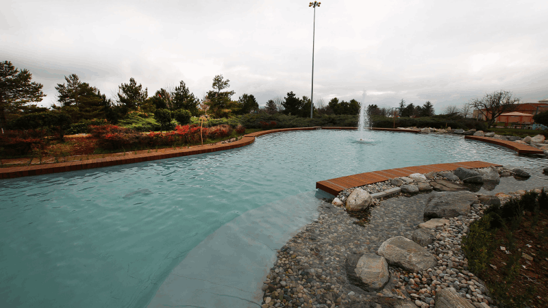 Biyolojik gölet, doğal yüzme göleti, kimyasalsız havuz, ekolojik havuz, biyopool, doğal havuz, gölet yapımı, gölet tasarımı, süs göleti, bahçe göleti, koi göleti, filtreli gölet, biyolojik filtrasyon, su bitkileri, çevre dostu havuz, sürdürülebilir havuz, doğal su arıtma, peyzaj göleti, gölet uzmanı, gölet sistemleri, gölet bakımı, balıklı gölet, doğal havuz çözümleri, klorinsiz havuz, düşük bakım havuzu, Düzce biyolojik gölet, Türkiye biyolojik gölet, su yaşamı, gölet ekosistemi, modern gölet.